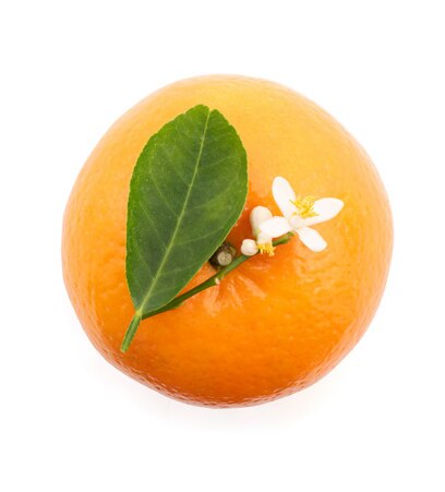 Orange with neroli flower