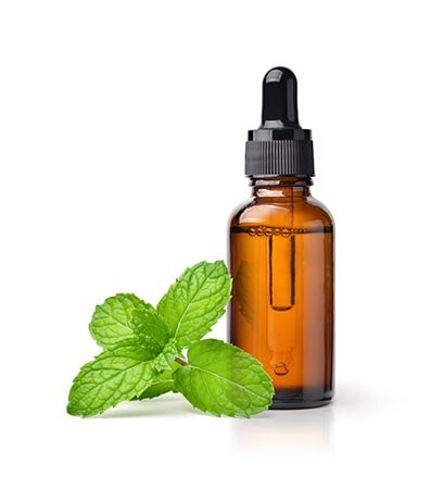Essential oil dropper with mint