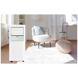 Olipmpia Splendid Portable AC PAC9000 Olipmpia Splendid Portable AC PAC9000