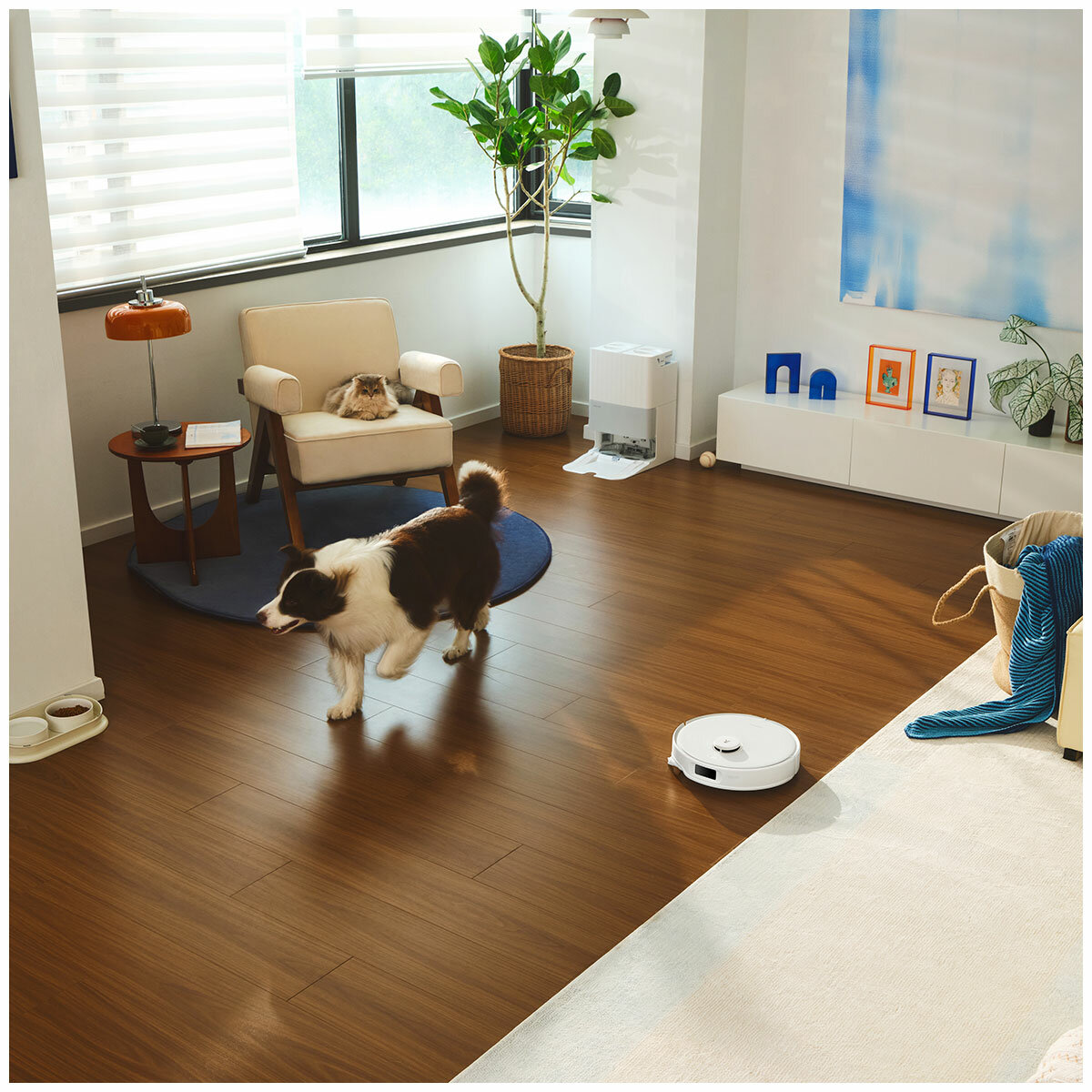 Roborock Qrevo Edge C RR-QREC02-03-WHT Roborock Qrevo Edge C RR-QREC02-03-WHT