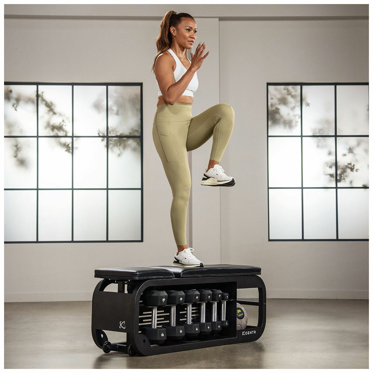 Centr Fusion Bench With Dumbbell Storage Centr Fusion Bench With Dumbbell Storage