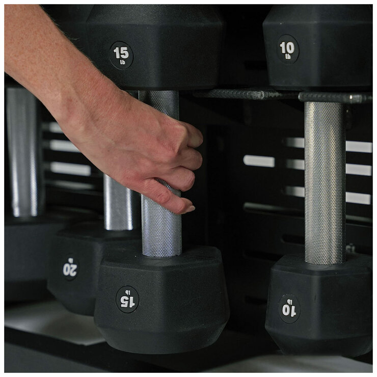 Centr Fusion Bench With Dumbbell Storage Centr Fusion Bench With Dumbbell Storage