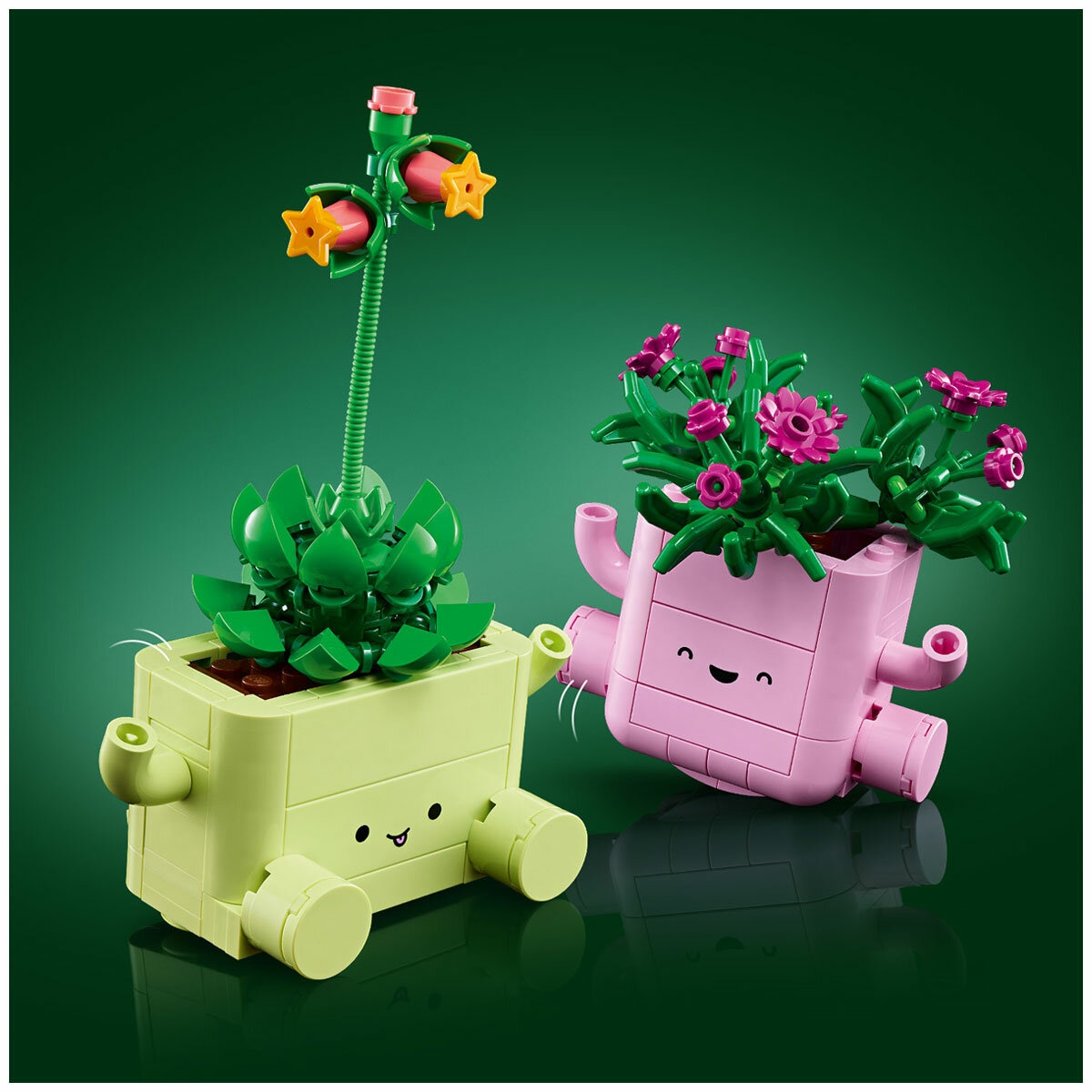 LEGO Botanicals Rocking Plants 11506 LEGO Botanicals Rocking Plants 11506