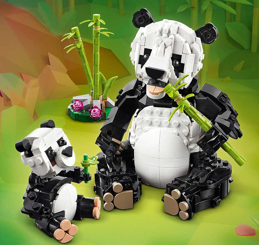 Panda family fun