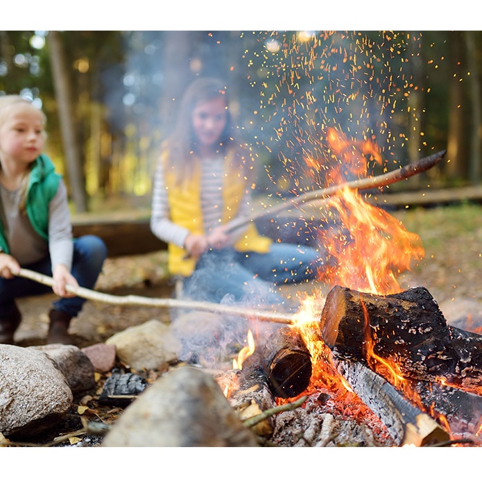 Campfire toy hot sale costco