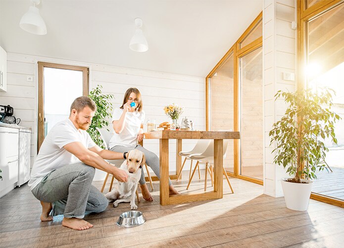 Couple at table with dog and sun streaming through windows