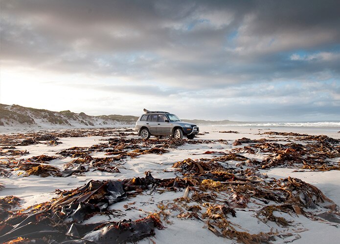 4WD on beach covered in seaweed