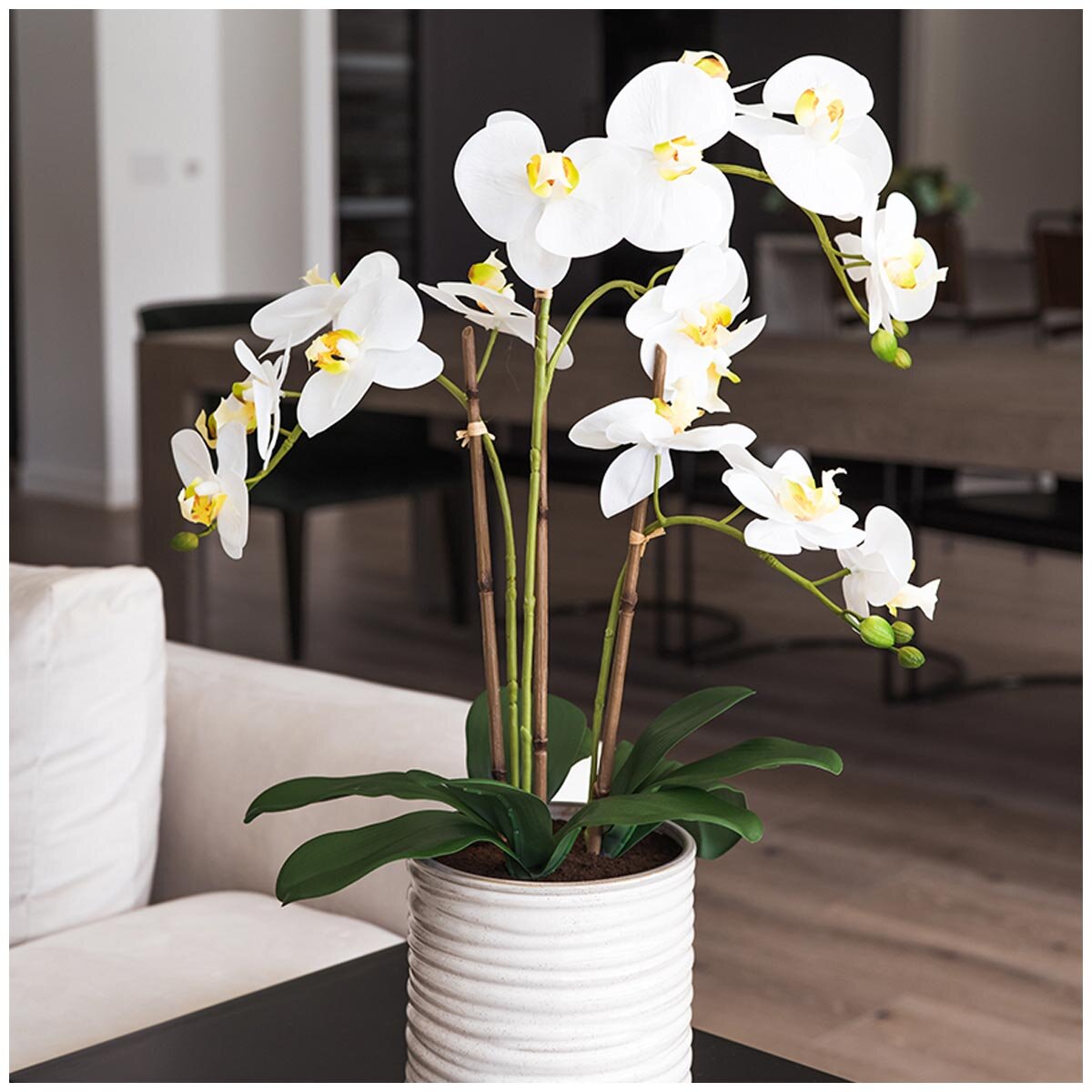 Faux Orchid With Ribbed Pot White