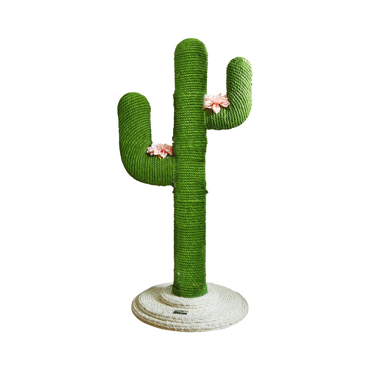 scratch cactus