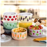 Signature Housewares Microwave Bowls with Lids Veggie 6 Piece Set