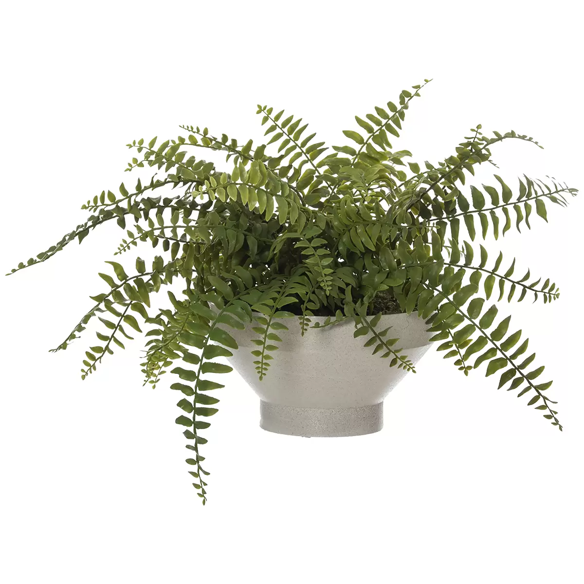 Rogue Grand Designs Boston Fern Sutton Bowl Green 55 x 59 x 34cm