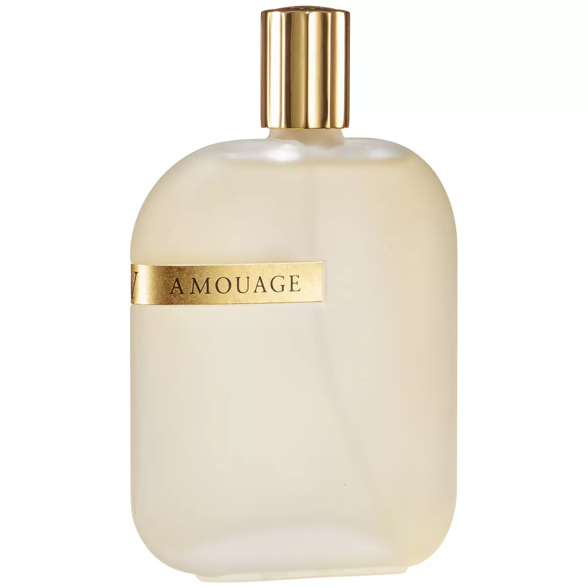 Amouage The Library Collection Opus V EDP 100ml