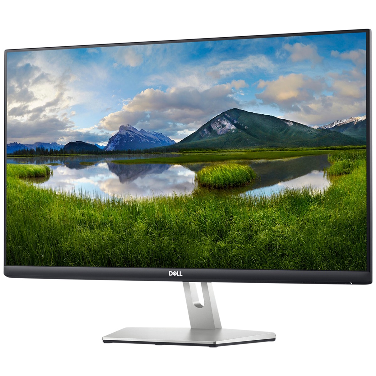 dell costco monitor