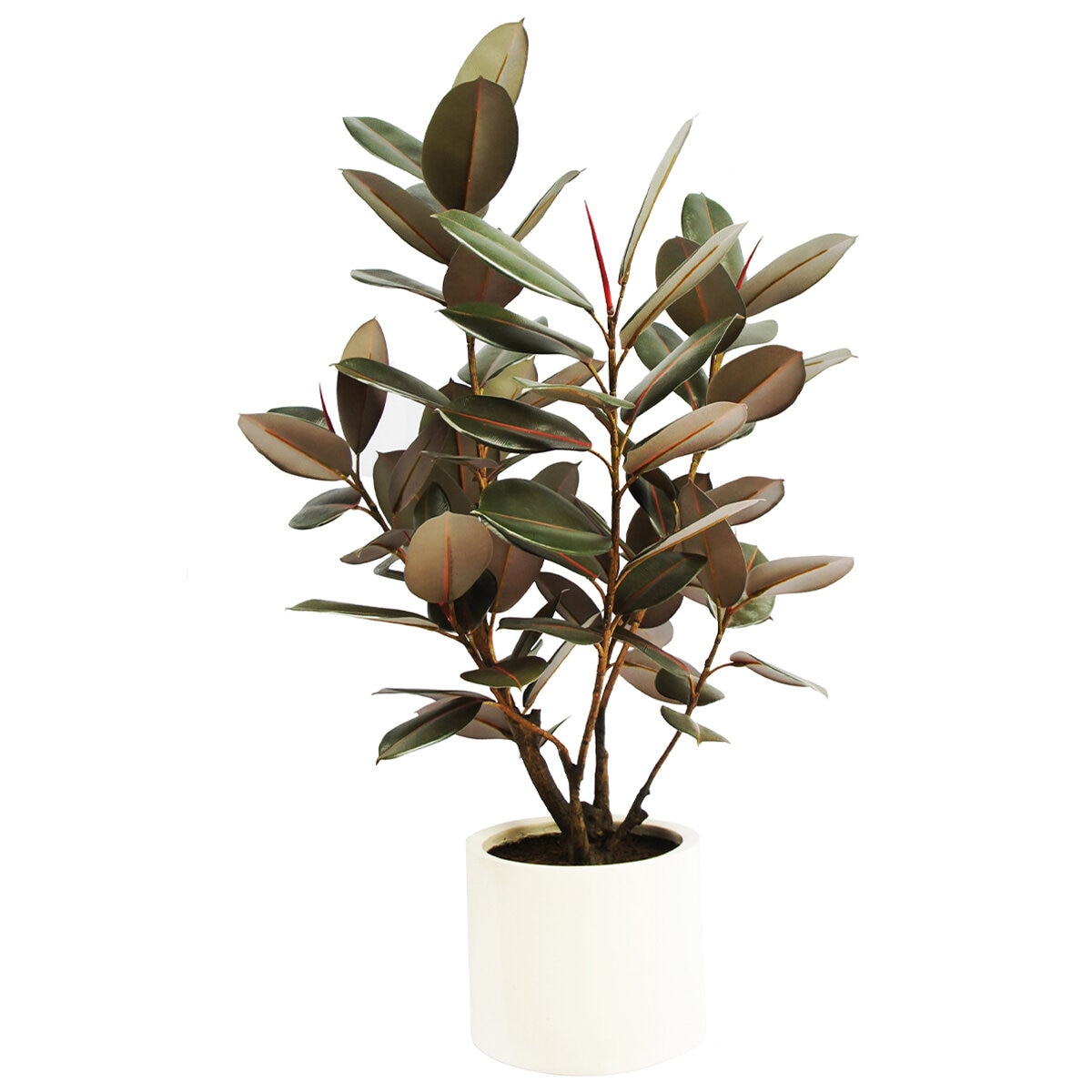 CG Hunter 4Ft Faux Rubber Tree