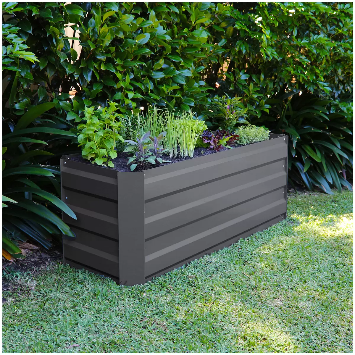 Greenlife Slimline Garden Bed 120 x 45 x 45cm 