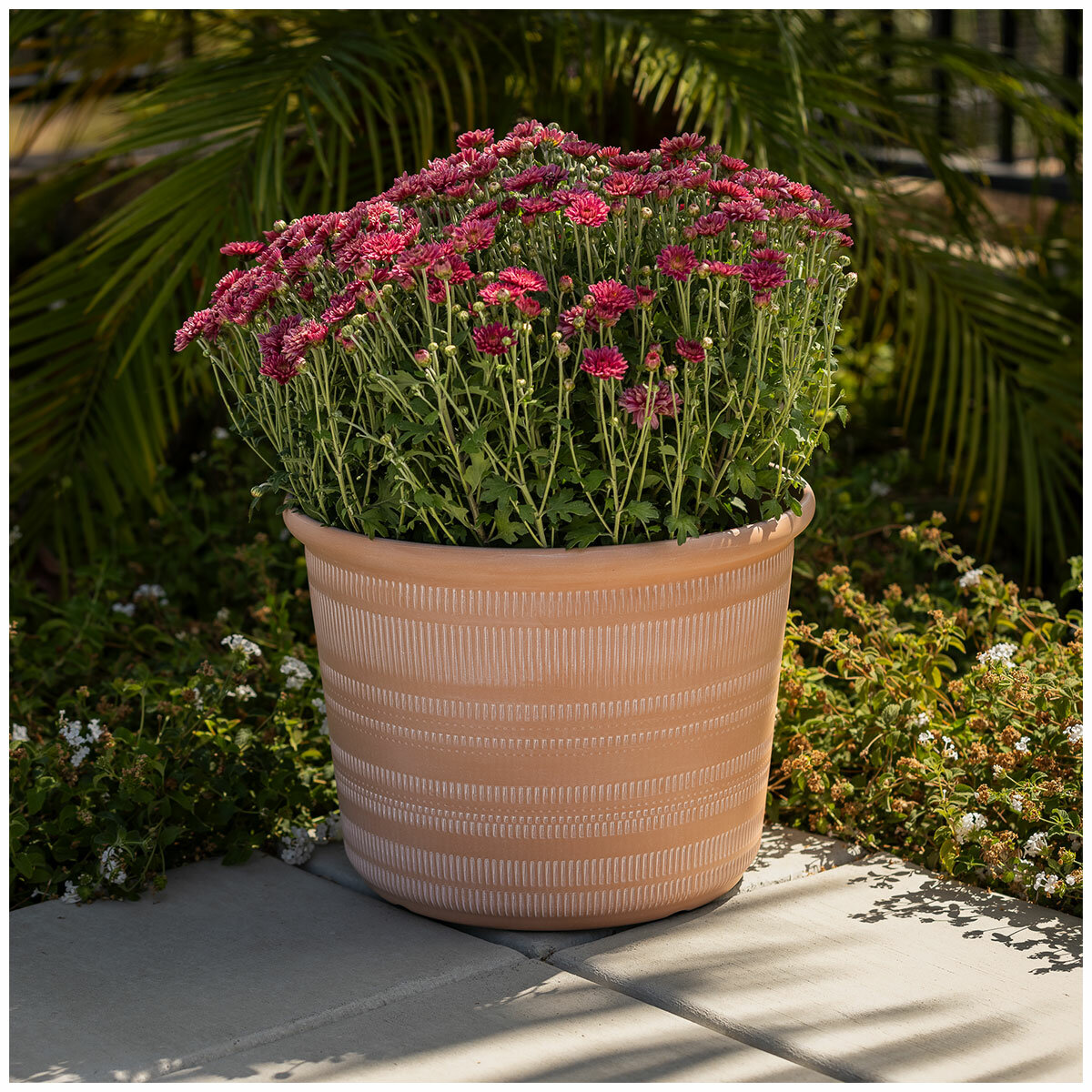 Forum Planters 3 Pack Forum Planters 3 Pack