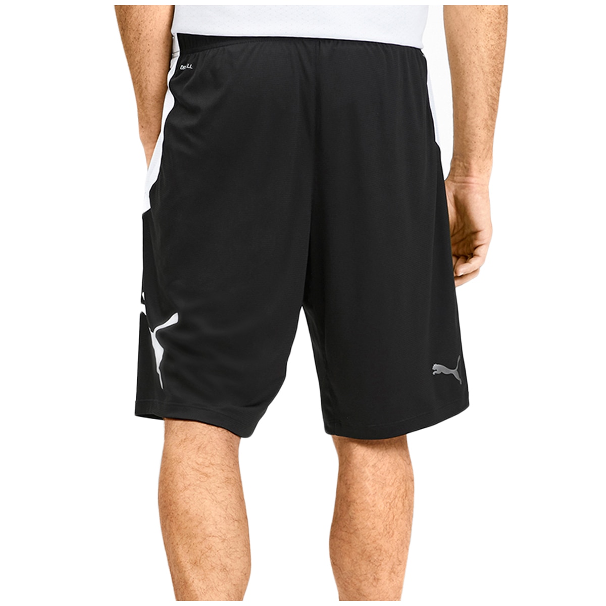 costco puma shorts