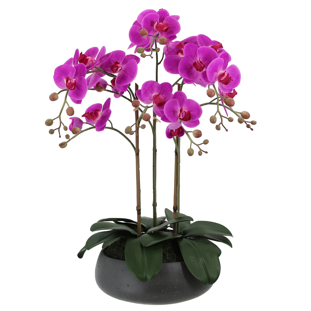 CG Hunter 61cm Faux Phalaenopsis Orchid Arrangement - Pink