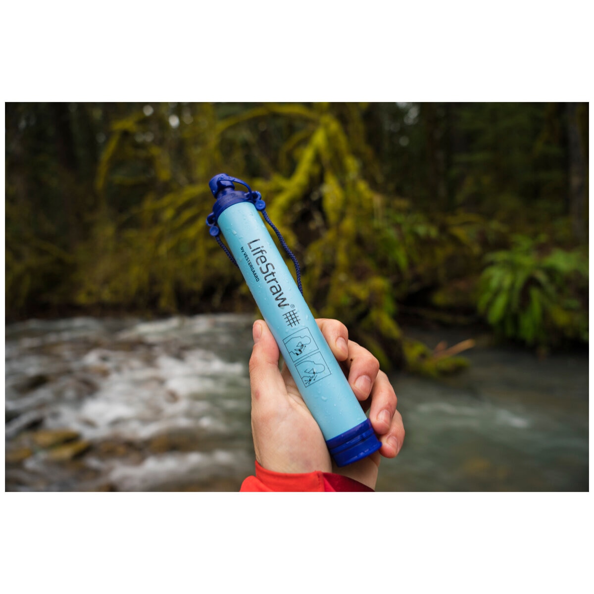 LifeStraw Personal Water Filter 3 Pack