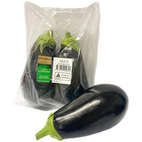 Eggplant 2 Pack