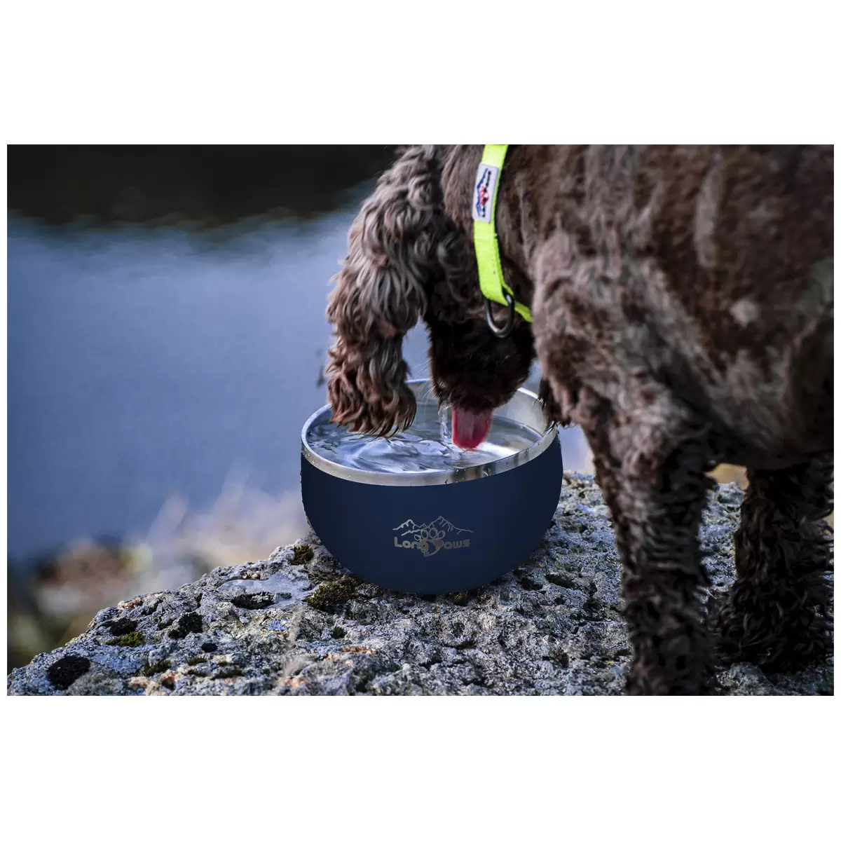 Long Paws Lunar Dog Bowls 2 Pack