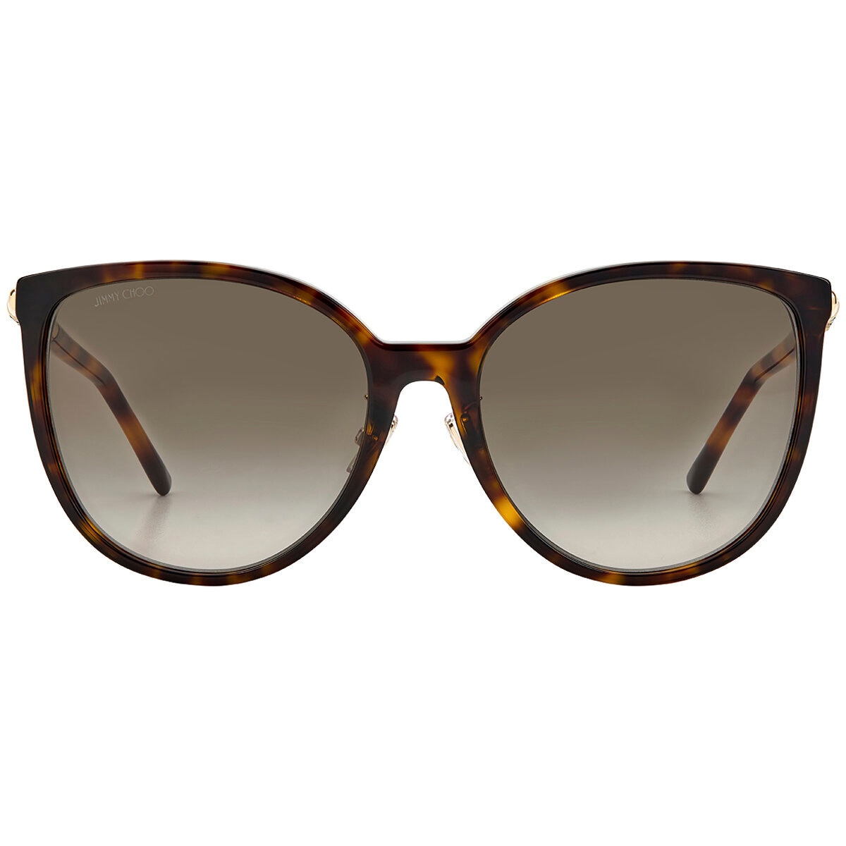 Jimmy Choo Raye/G/SK Women’s Sunglasses | Costco Australia