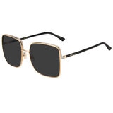 Jimmy Choo AlianaS Womens Sunglasses