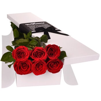 Ruby 6 Long Stem Red Roses In Gift Box