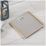 Taylor Bathroom Scale Gold Tone PRIORITY