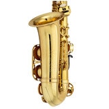 Jean Paul Saxophone As600Au With Stand & Case