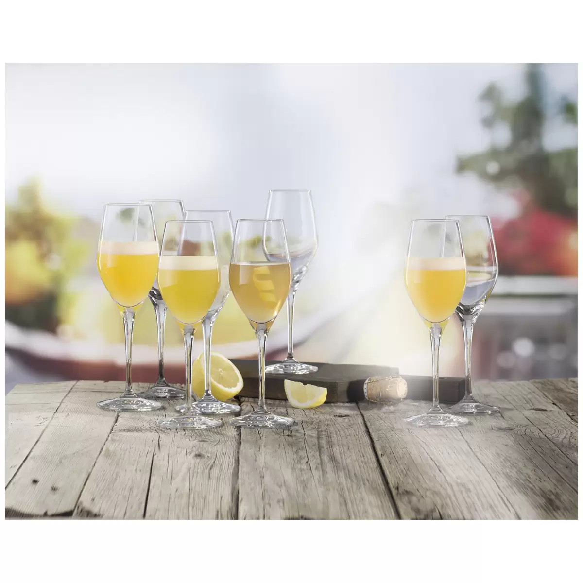 Spiegelau BBQ Drinks Prosecco Glass 6 Piece Set