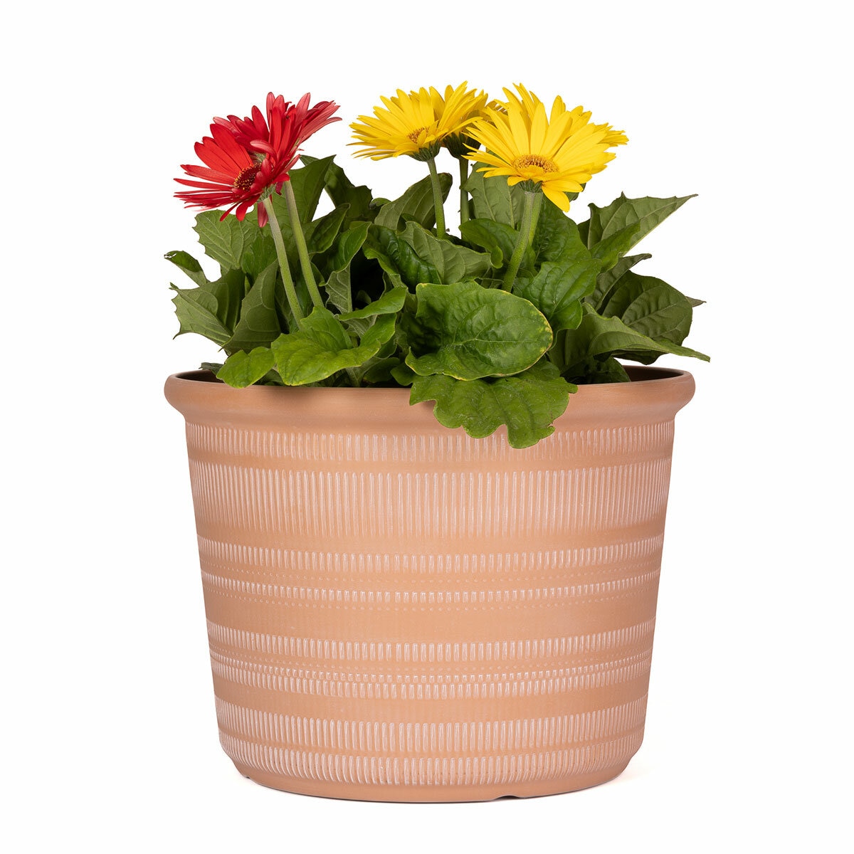 Forum Planters 3 Pack Forum Planters 3 Pack
