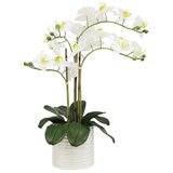 Faux Orchid With Ribbed Pot White