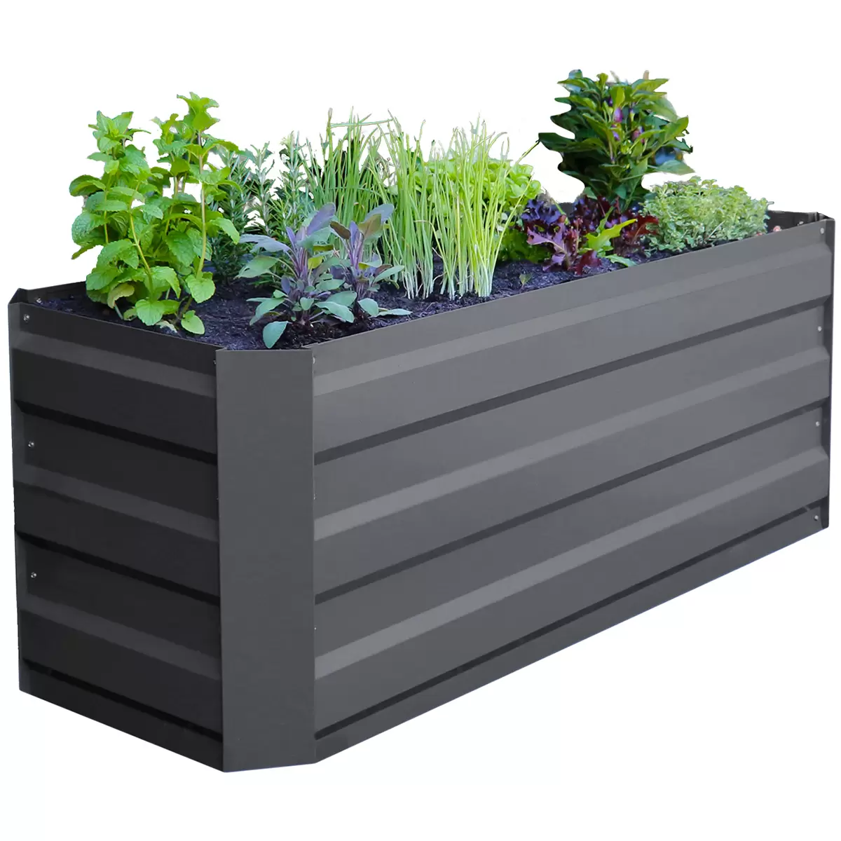 Greenlife Slimline Garden Bed 120 x 45 x 45cm