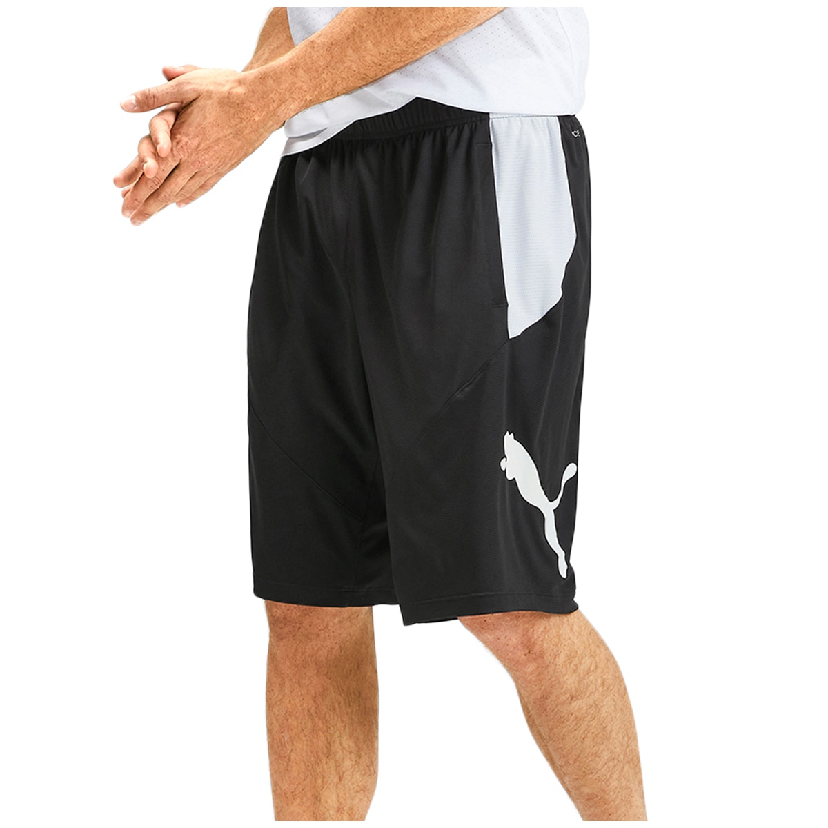 Puma shorts at costco best sale