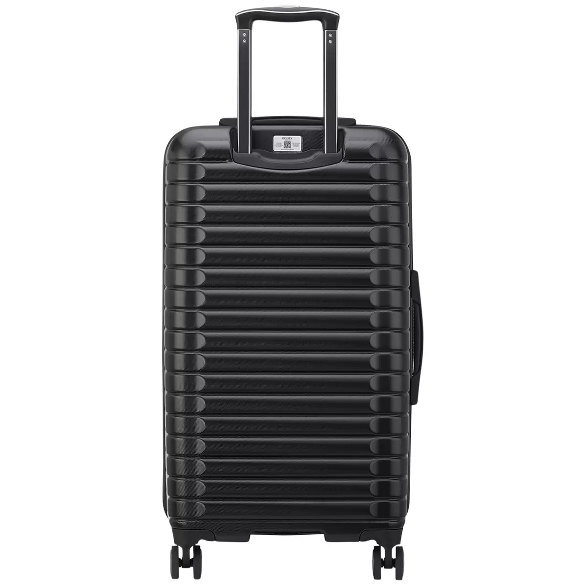 Delsey Paris 2 Piece Luggage Set 