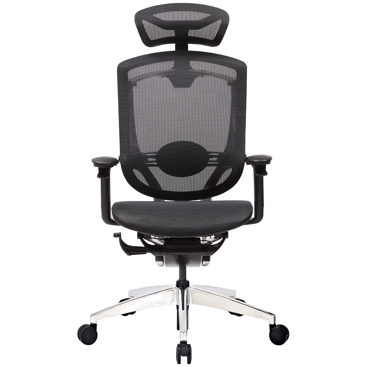 ergo chair costco