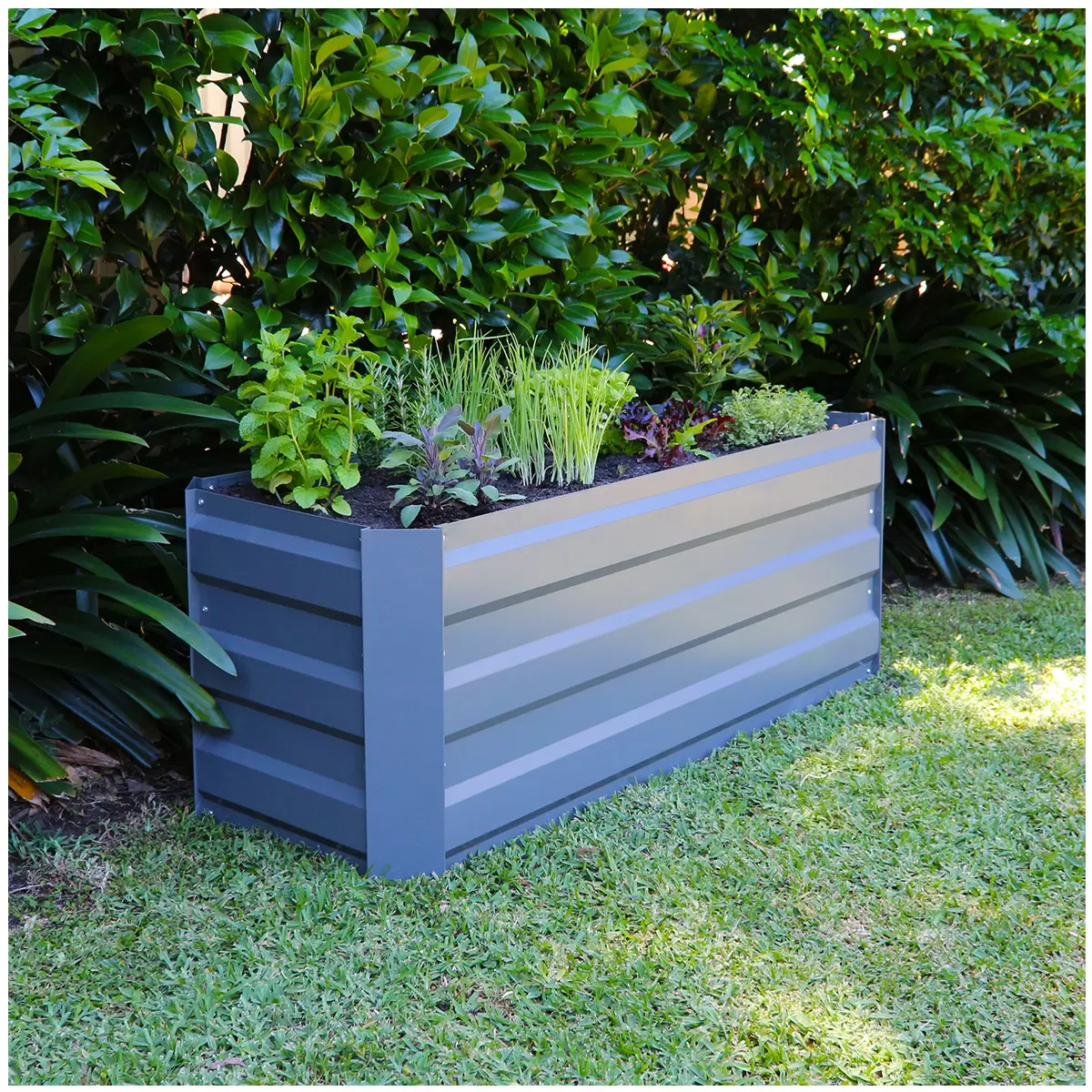 Greenlife Slimline Garden Bed 120 x 45 x 45cm 