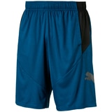 Puma Shorts - Navy