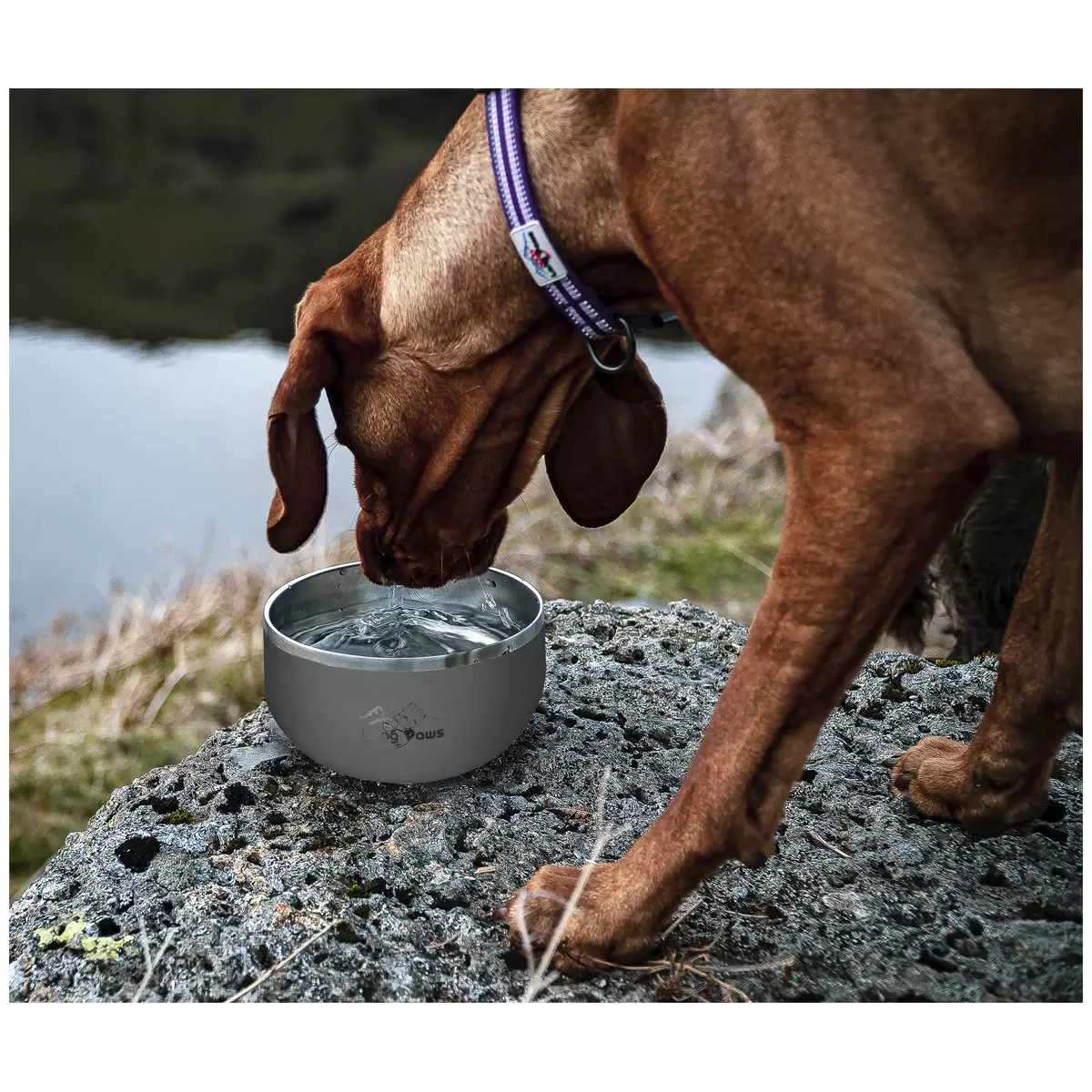 Long Paws Lunar Dog Bowls 2 Pack