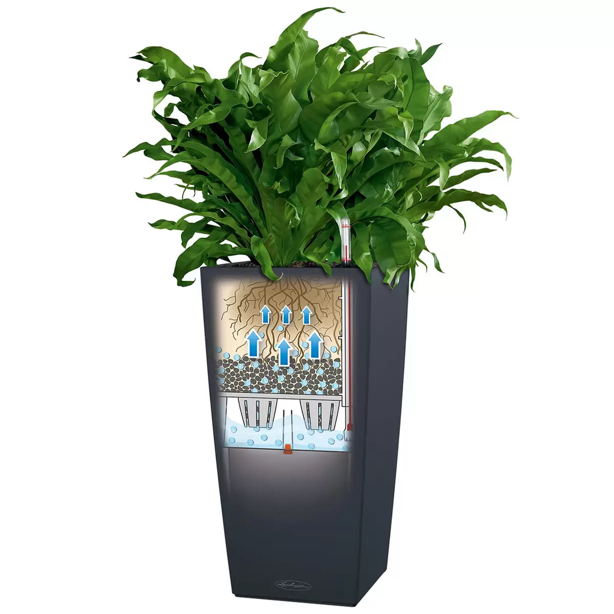 Lechuza Cubico Colour 30 Planter Slate