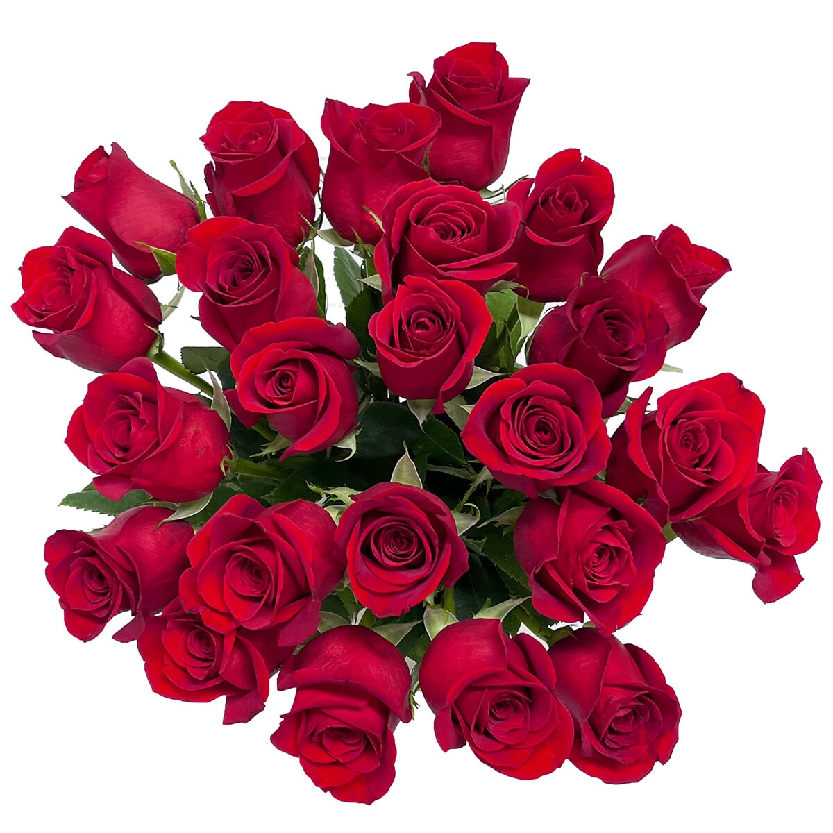 24 Long Stem Bouquet Of Roses With Vase | Costco Australia