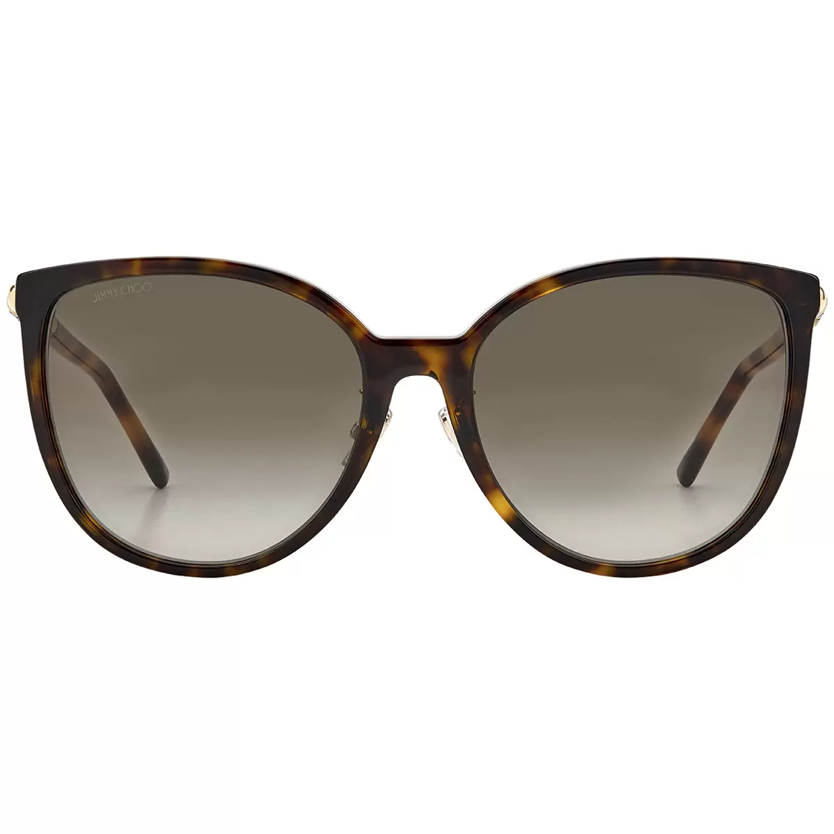 Jimmy Choo Raye/G/SK Women’s Sunglasses