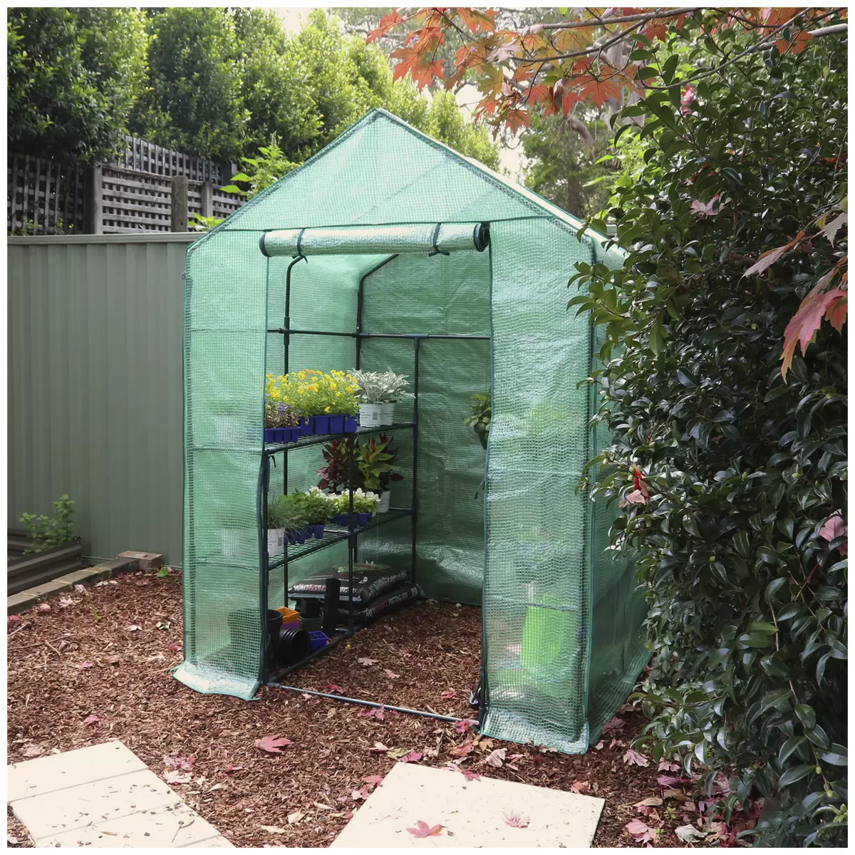 Greenlife Large Walk-in Greenhouse Twin Pack with PE Cover 195 x 143 x 143cm