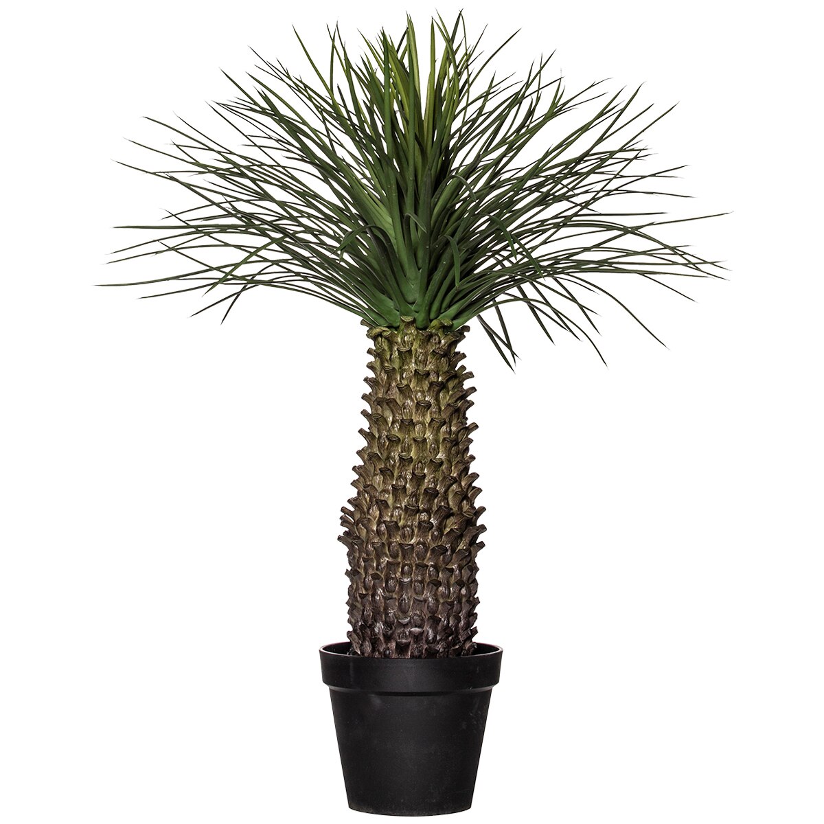 rogue-spikey-grass-plant-74x74x91cm-green-costco-australia