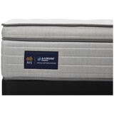 Domino Lachlan Queen Mattress Medium