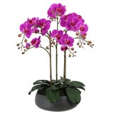 CG Hunter 61cm Faux Phalaenopsis Orchid Arrangement - Pink