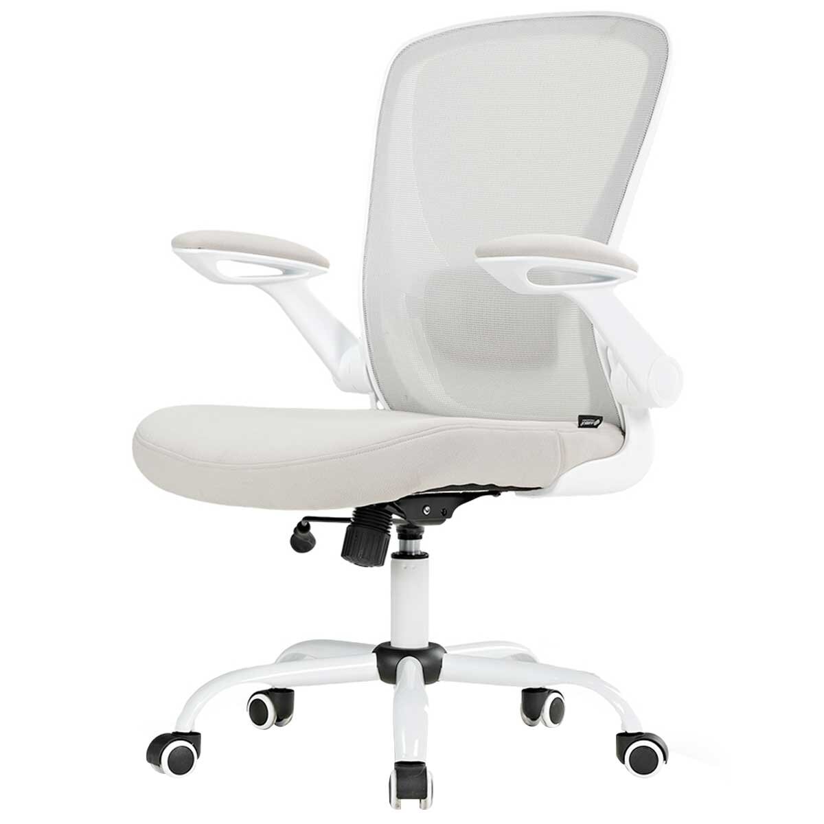 Eureka OC06 ONYX Ergonomic Office Chair