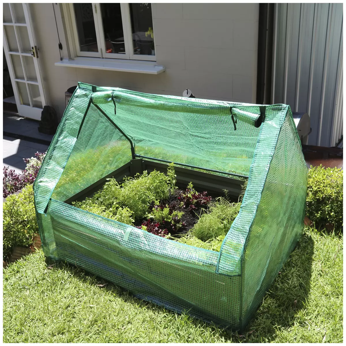 Greenlife Garden Bed Eucalypt Green with Drop Over Greenhouse 120 x 90 x 30 cm