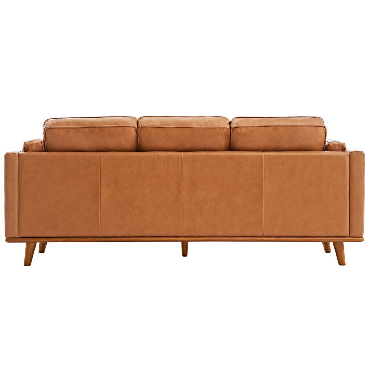 Valencia Artisan Modern Top Grain Leather Sofa With Wooden Base